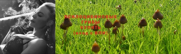 героин Горнозаводск