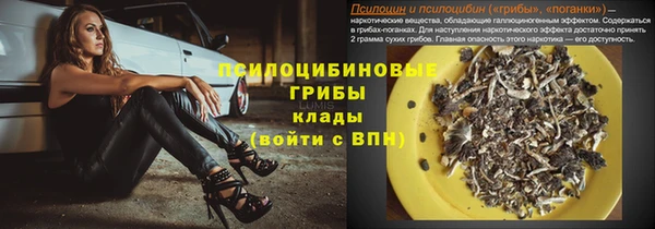 прущие крисы Дмитровск