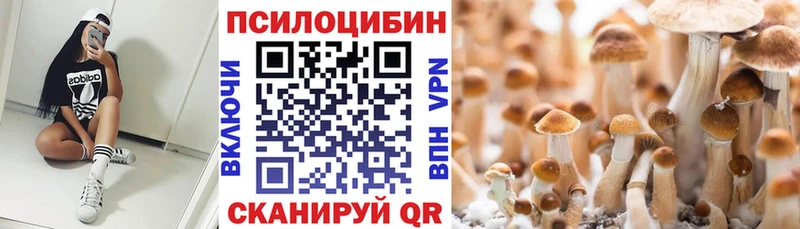 Псилоцибиновые грибы Magic Shrooms  Заинск 